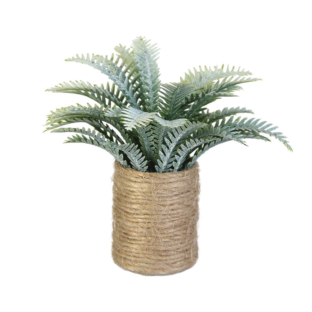 Mini Plant Dollhouse -Cycas 1/6 Scale Dollhouse Miniature - 1:6 scale dollhouse miniature in premium materials