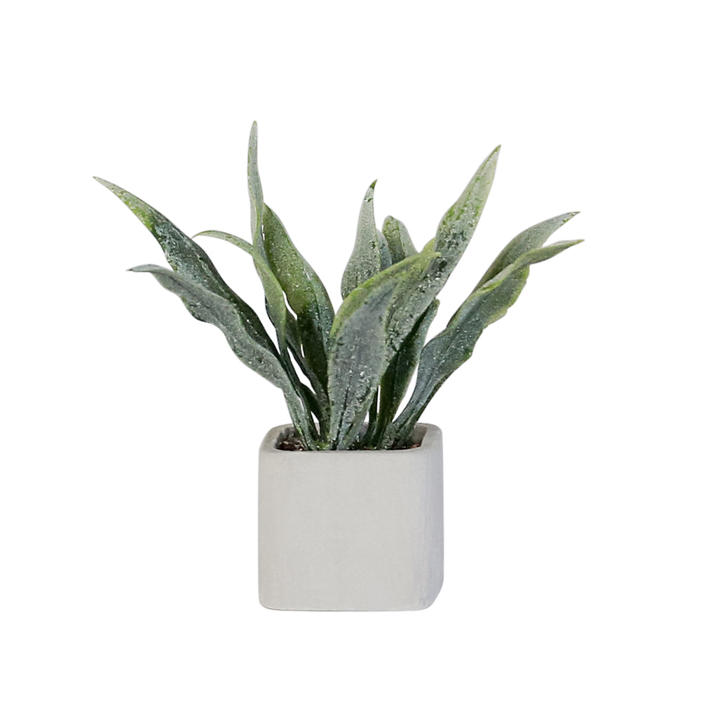 Mini Plant-Sansevieria 1/6 Scale Dollhouse Miniature - 1:6 scale dollhouse miniature in polyresin