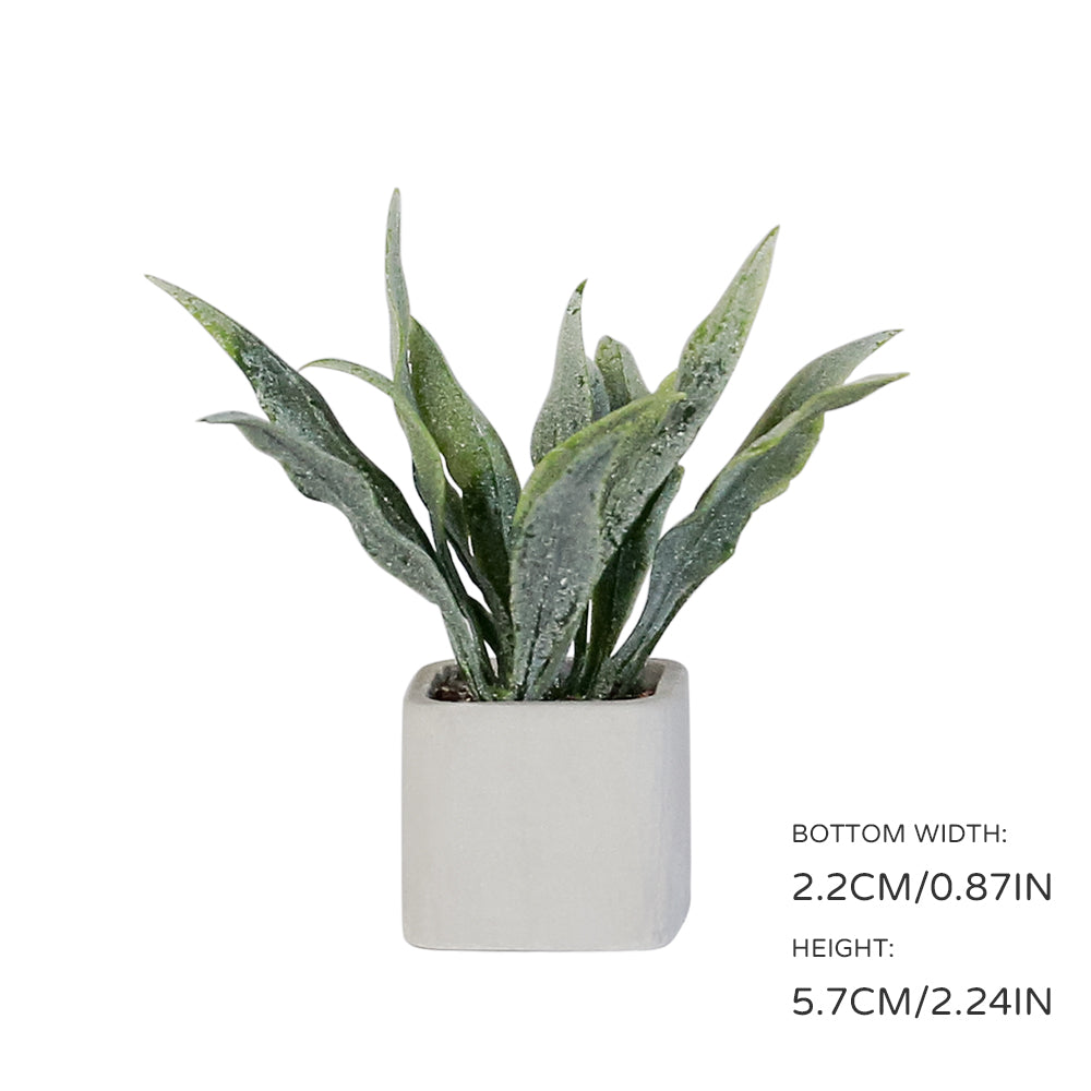 Mini Plant-Sansevieria 1/6 Scale Dollhouse Miniature - 1:6 scale dollhouse miniature in polyresin, view 2