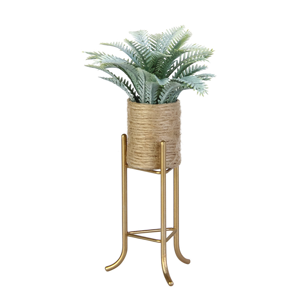 Mini Plant Dollhouse -Cycas 1/6 Scale Dollhouse Miniature - 1:6 scale dollhouse miniature in premium materials, view 3